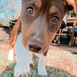 Meet your Posher, Johnna